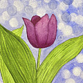 Bokeh Tulip