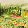 Foggy Farm