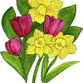 Tulips and Daffodils